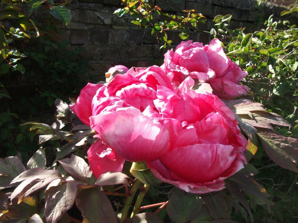 Church Farm B&B Near Telford And Ironbridge Shifnal Bagian luar foto