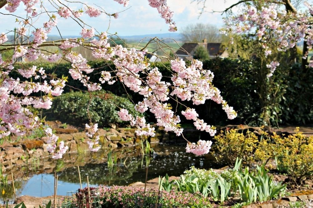 Church Farm B&B Near Telford And Ironbridge Shifnal Bagian luar foto
