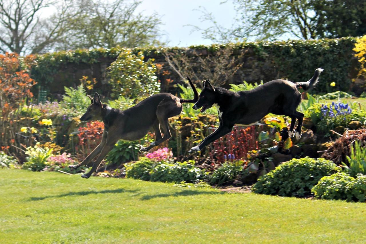 Church Farm B&B Near Telford And Ironbridge Shifnal Bagian luar foto